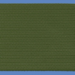 <strong>W416 /15</strong> - Elastic ribbon/ Moss green